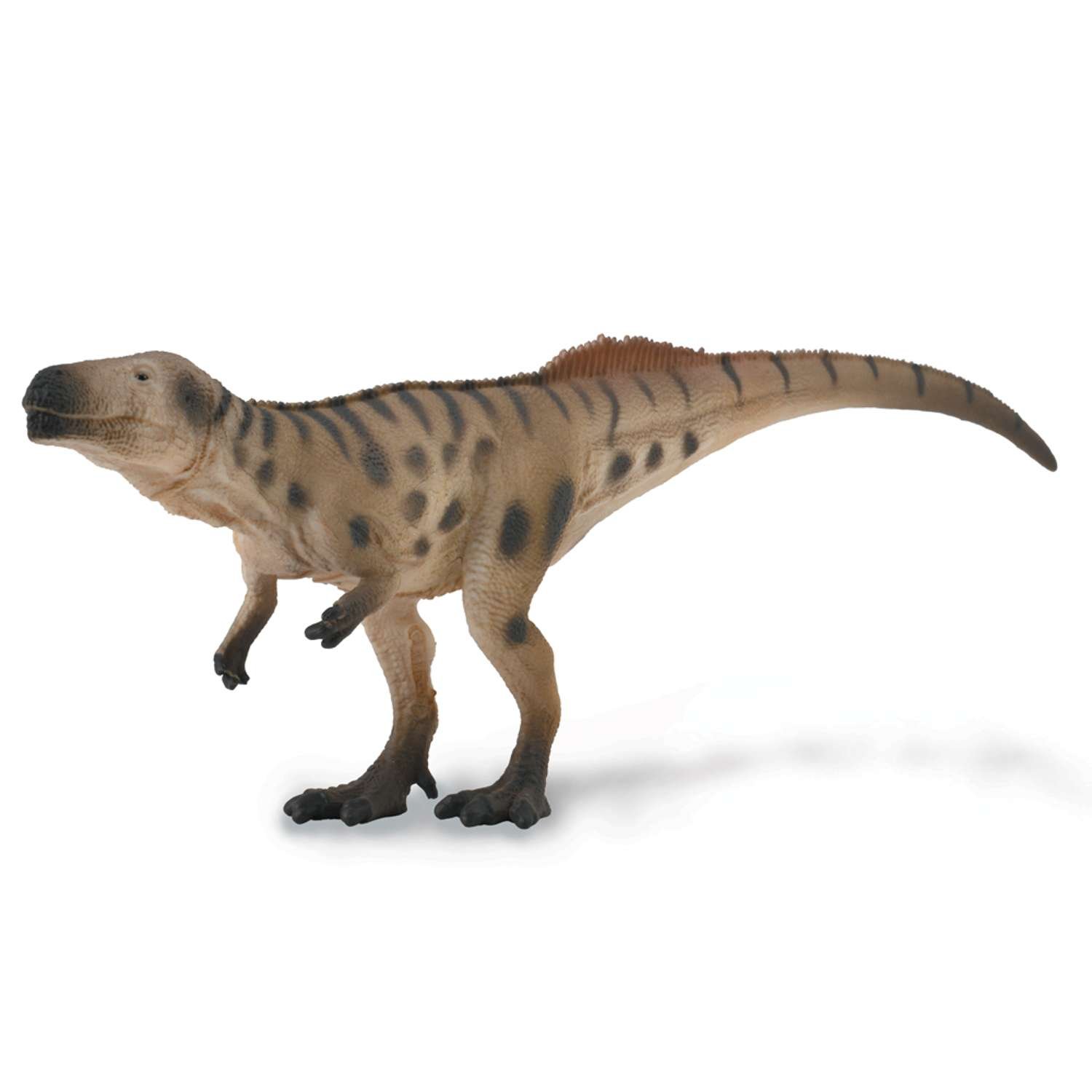 CollectA Megalosaurus - In Ambush - 3 Years +
