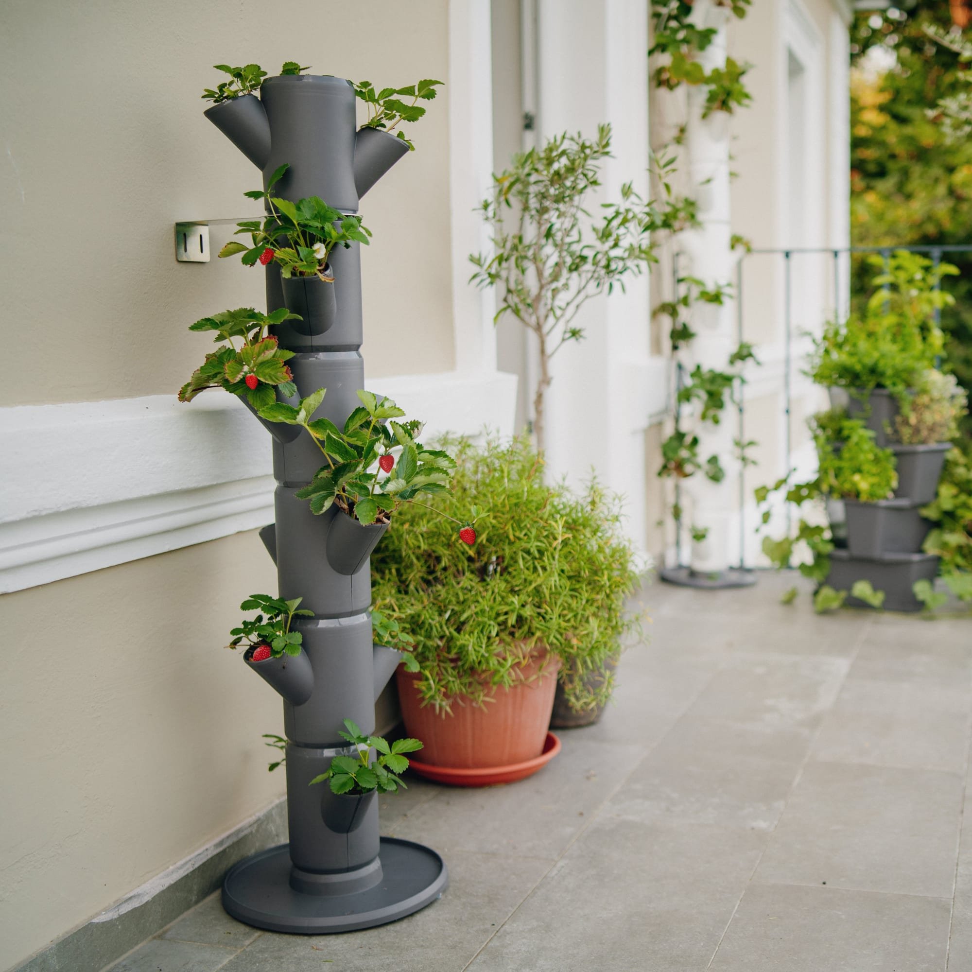 Gusta Garden Sissi Strawberry Classic Tower 6 Levels - Anthracite