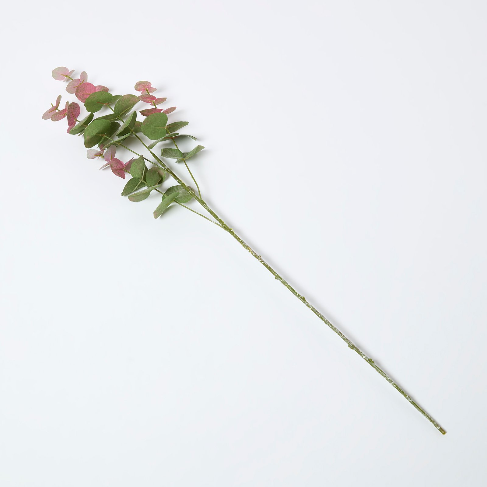 Homescapes 85cm Faux Blush Eucalyptus Spray - Green