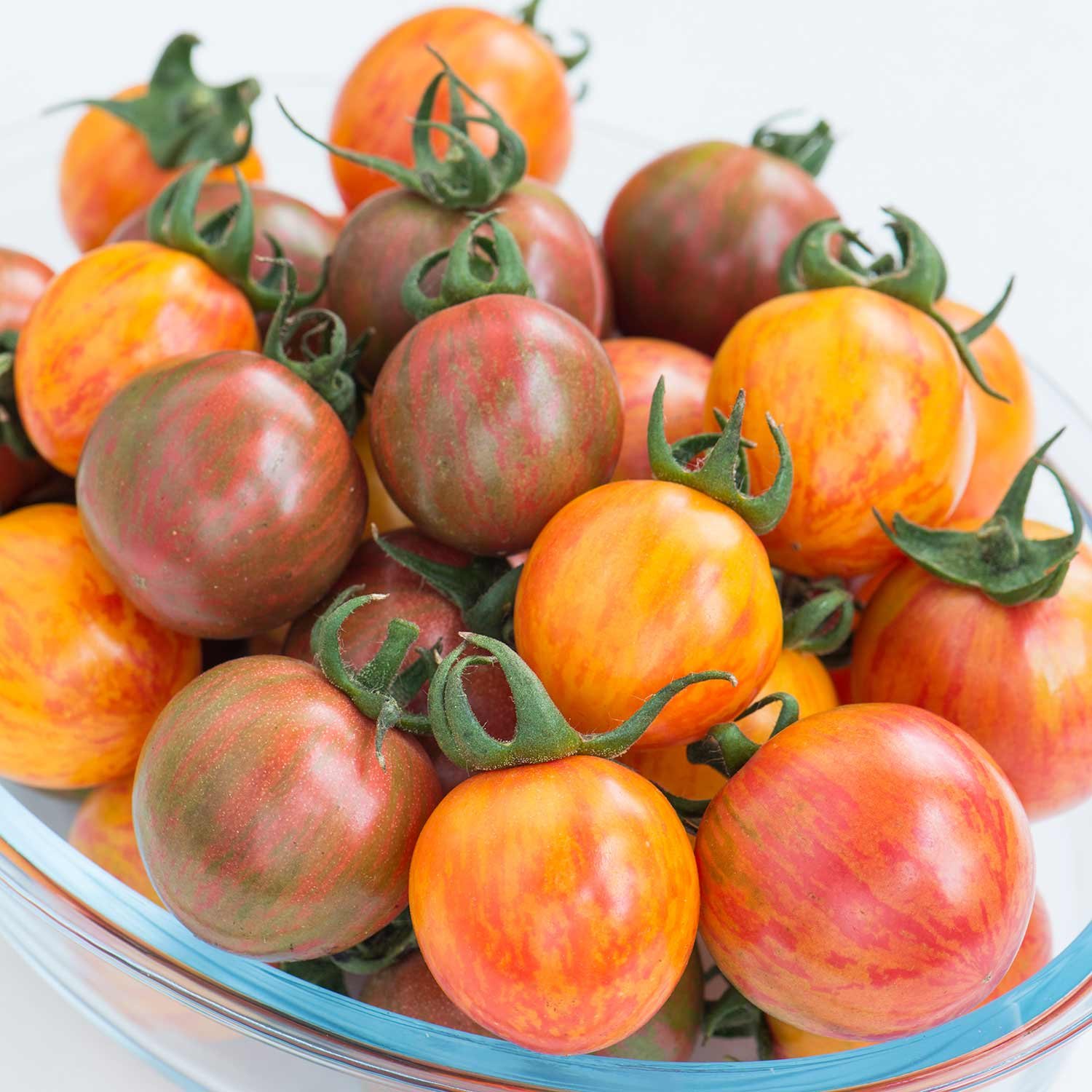 Marshalls Garden Tomato Seeds Bumble Bee Mix - Striped Cherry Tomatoes -10 Seeds