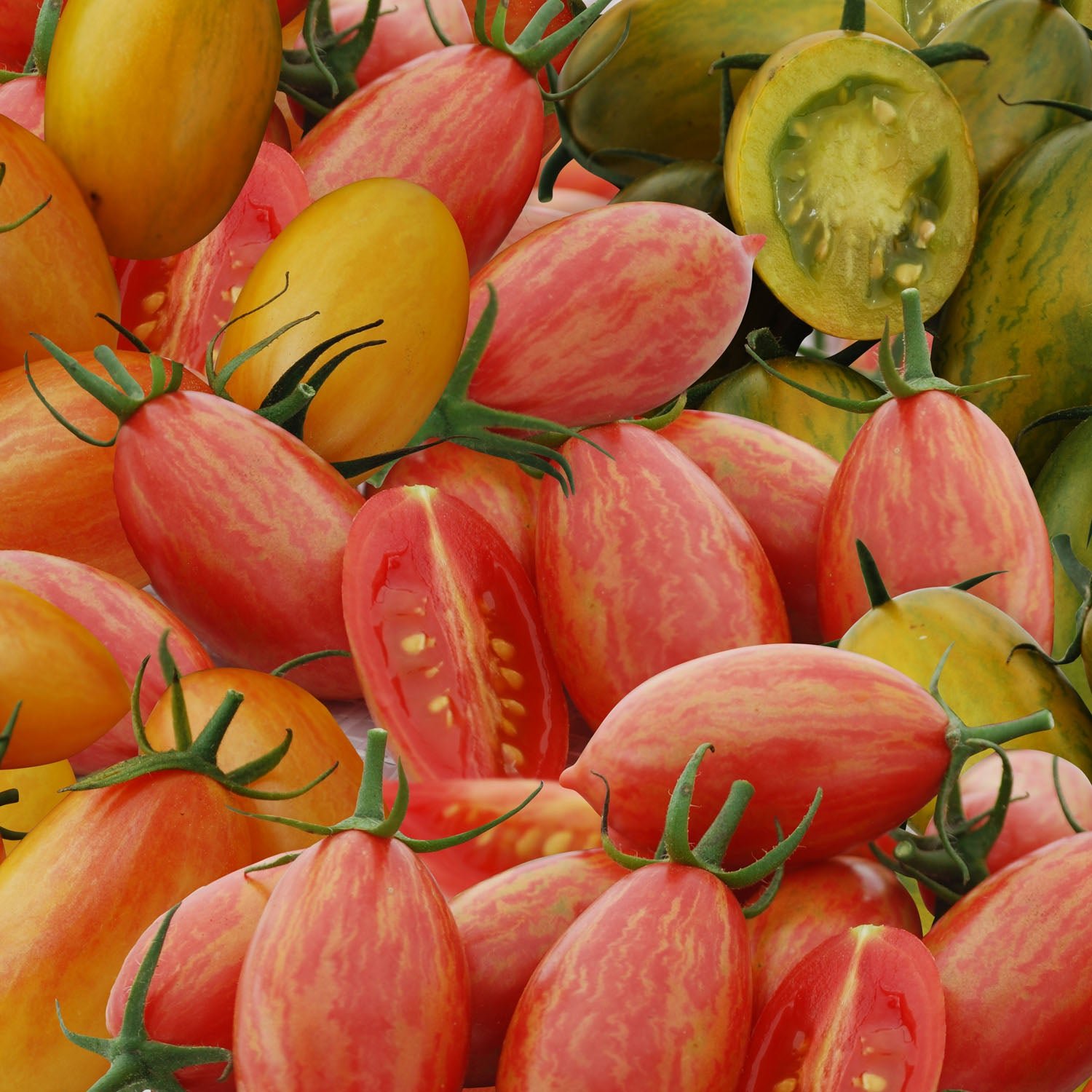 Unwins Tomato Seeds Cherry Plum 'Tiger Stripe Mix' - 8 Seeds