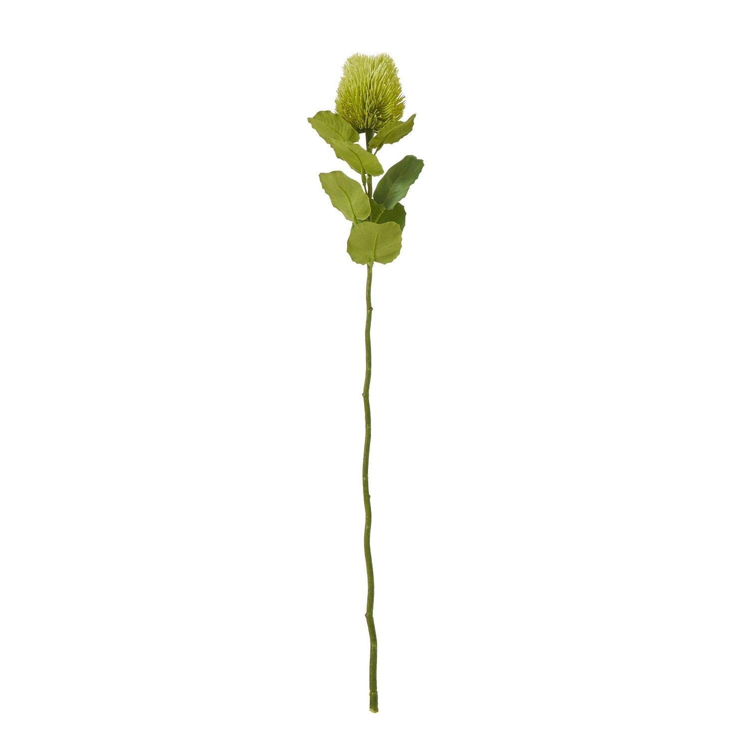 Hill Interiors Banksia Stem Artificial Plant - Green