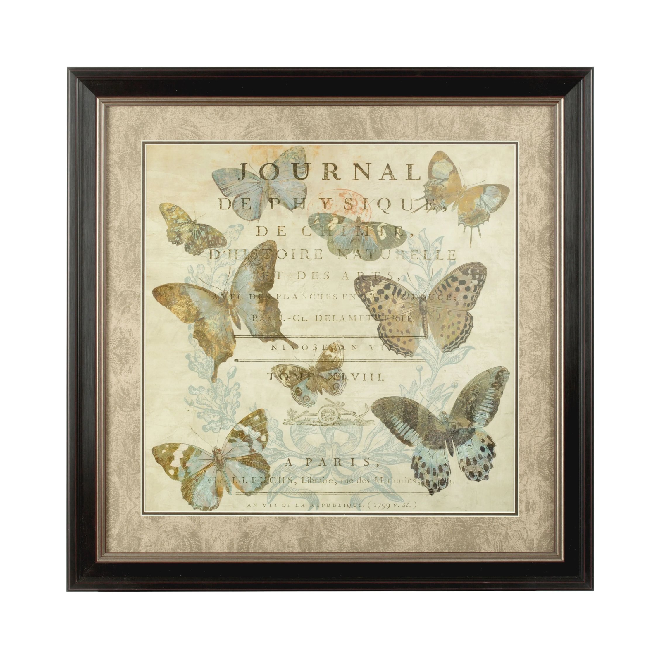 Orsina Framed Butterfly Wall Art