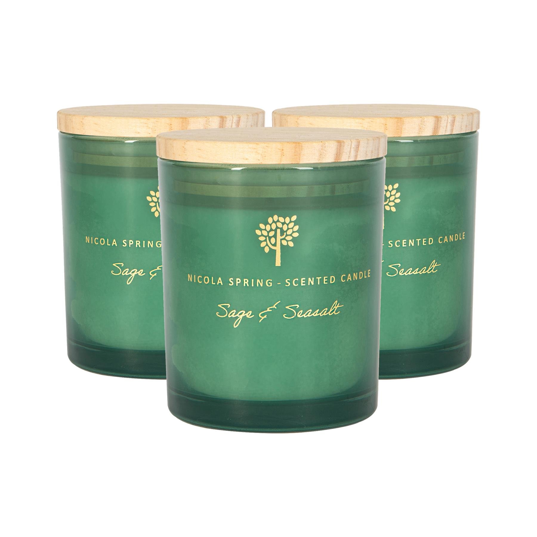 Nicola Spring 130ml Soy Wax Scented Candles Pack of 3 - Sage & Seasalt