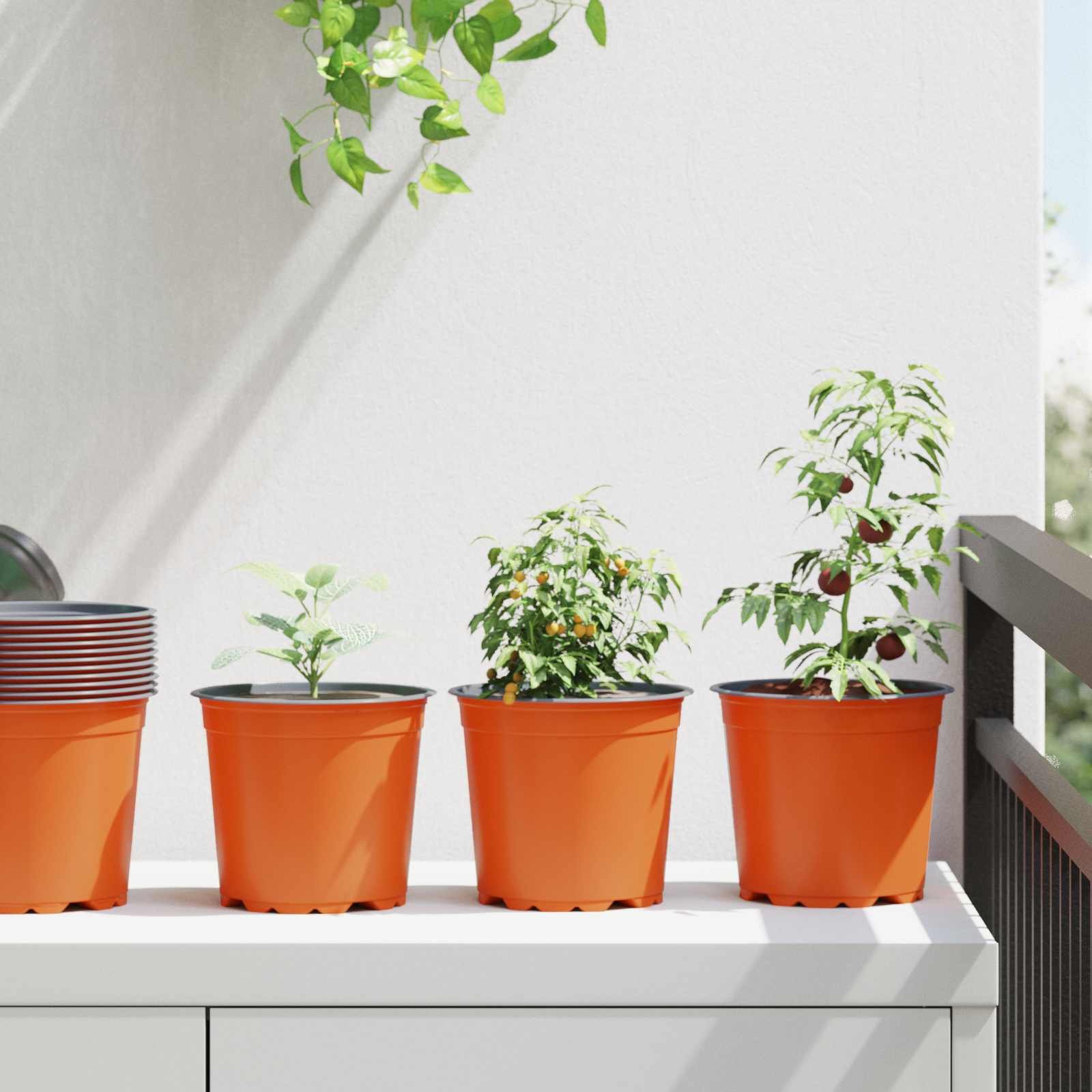 Walplus Pack of 50 Plastic Plant Pot - Terracotta - 15 x 15 x 13 cm