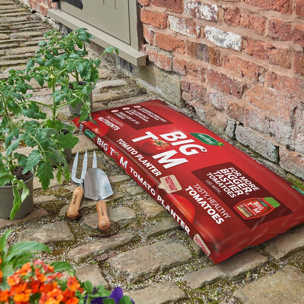 Westland Big Tom Tomato Planter - 55 Litre Bag