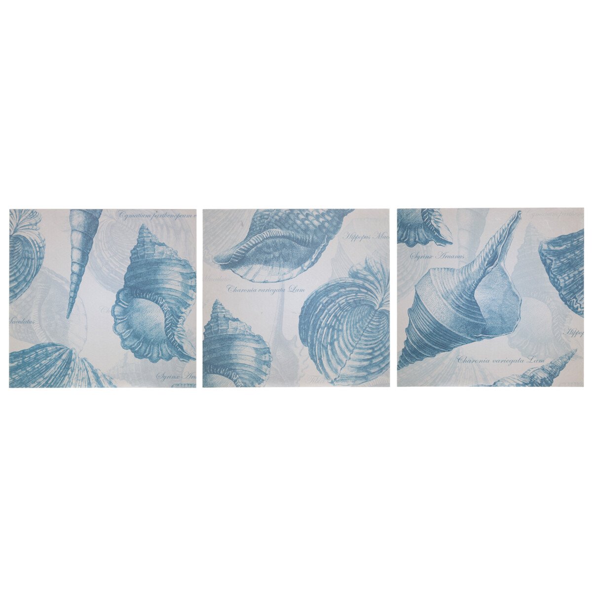 Orsina Echo Set Of Three Wall Plaques