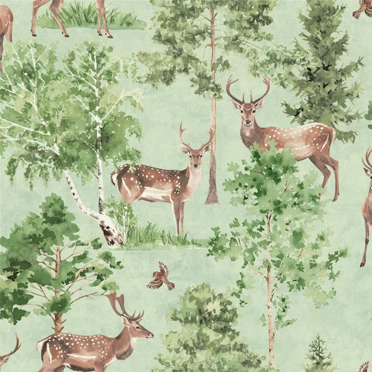Arthouse Deer Forest Wallpaper - Green