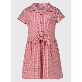 Buy Red Generous Fit Gingham Plus Fit School Dress 3 years