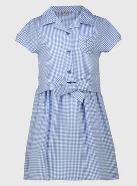 Blue Gingham Tie Front Dress 