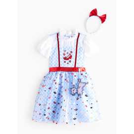 Dorothy Fancy Dress Costume