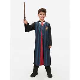 Harry Potter Fancy Dress Costume