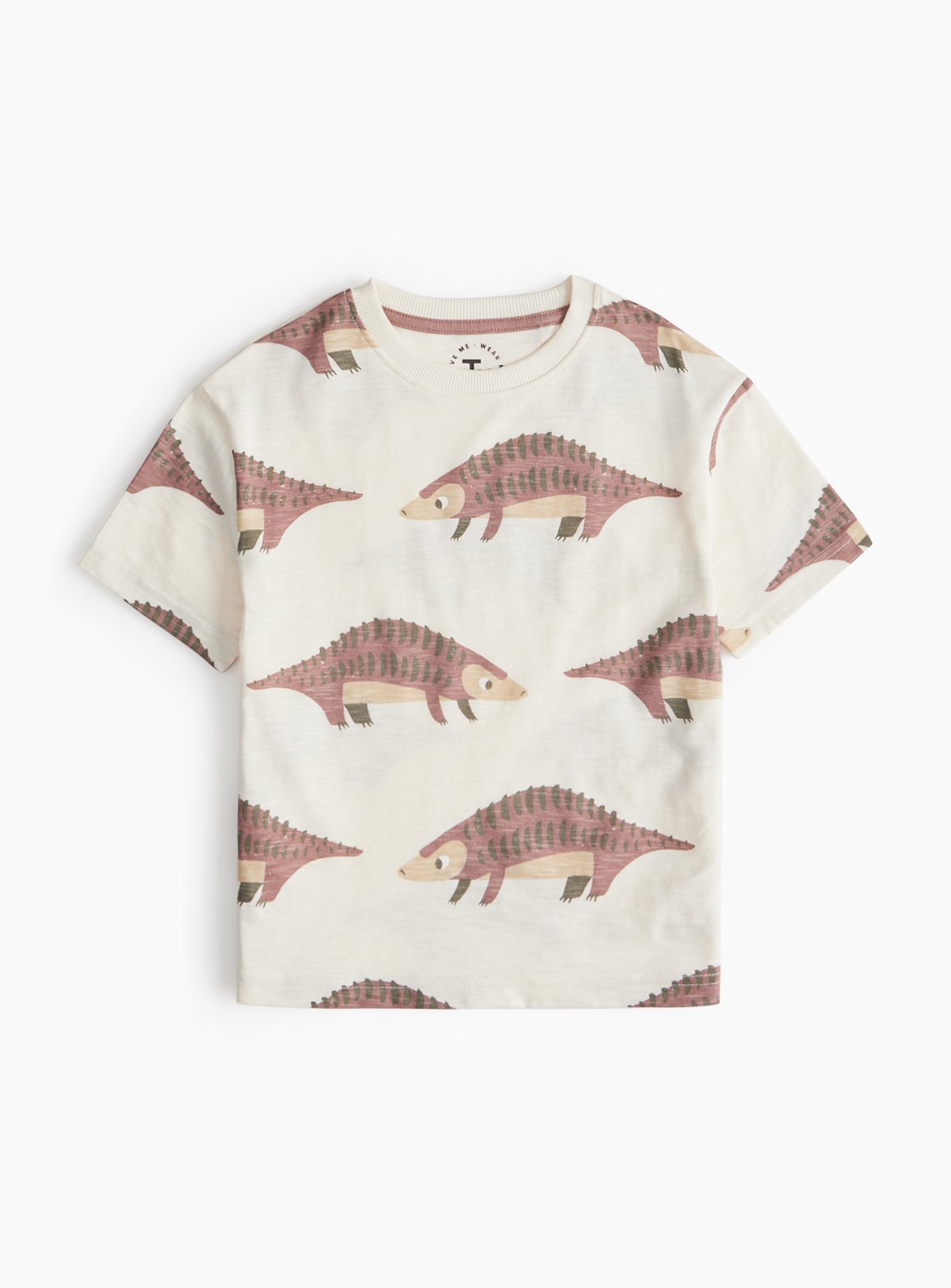 Graphic Print T-Shirt 