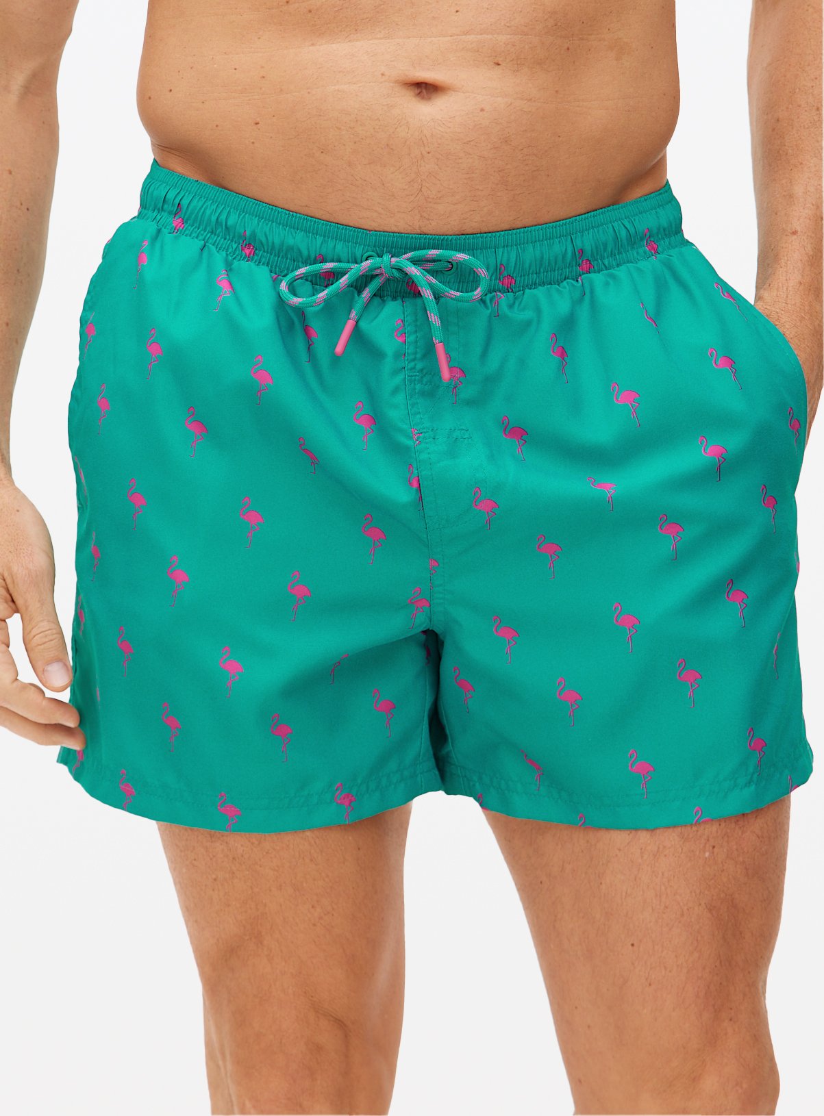Green & Pink Flamingo Print Swim Shorts 