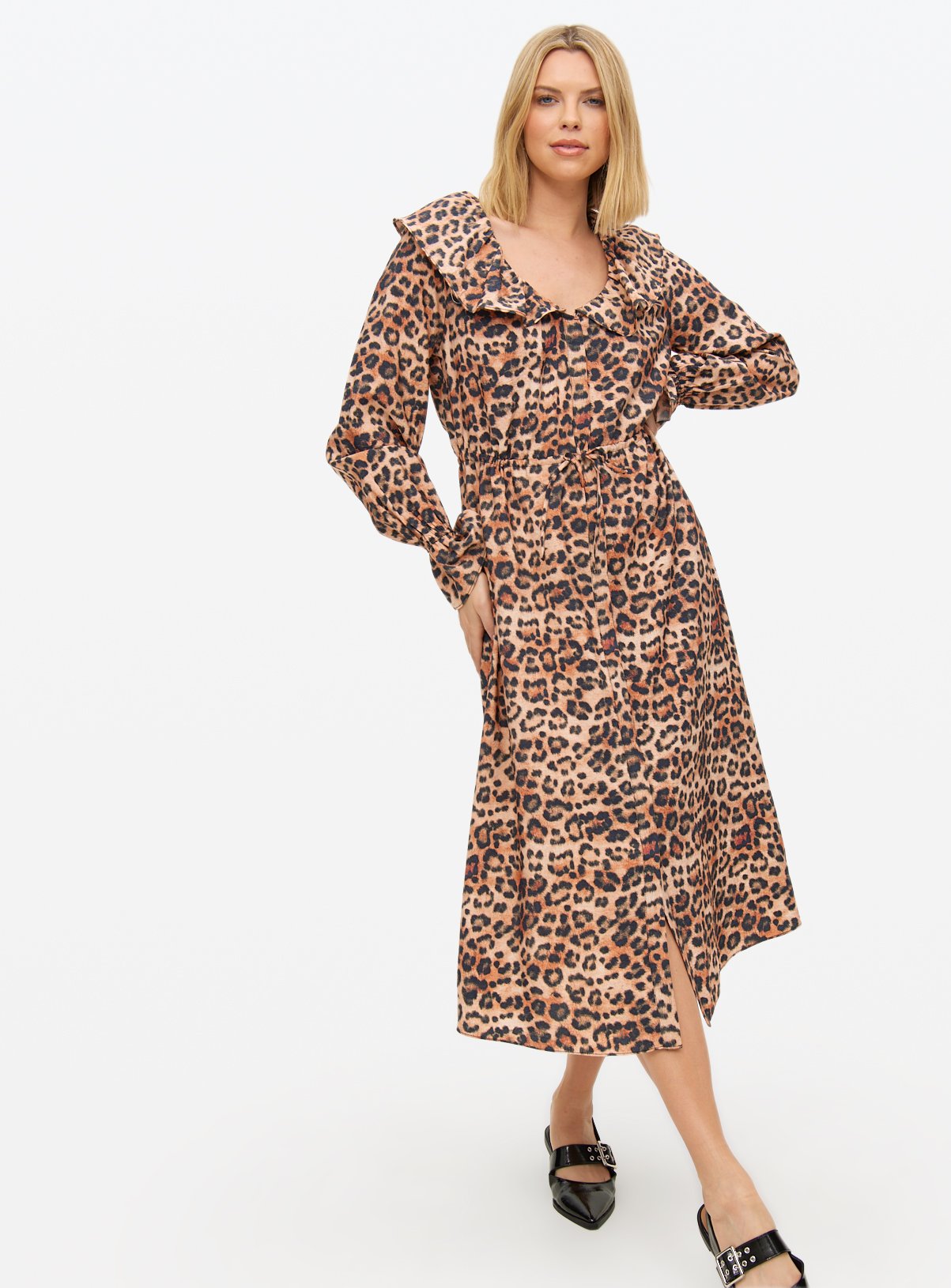 Animal Printed Frill Collar Midi Dress 