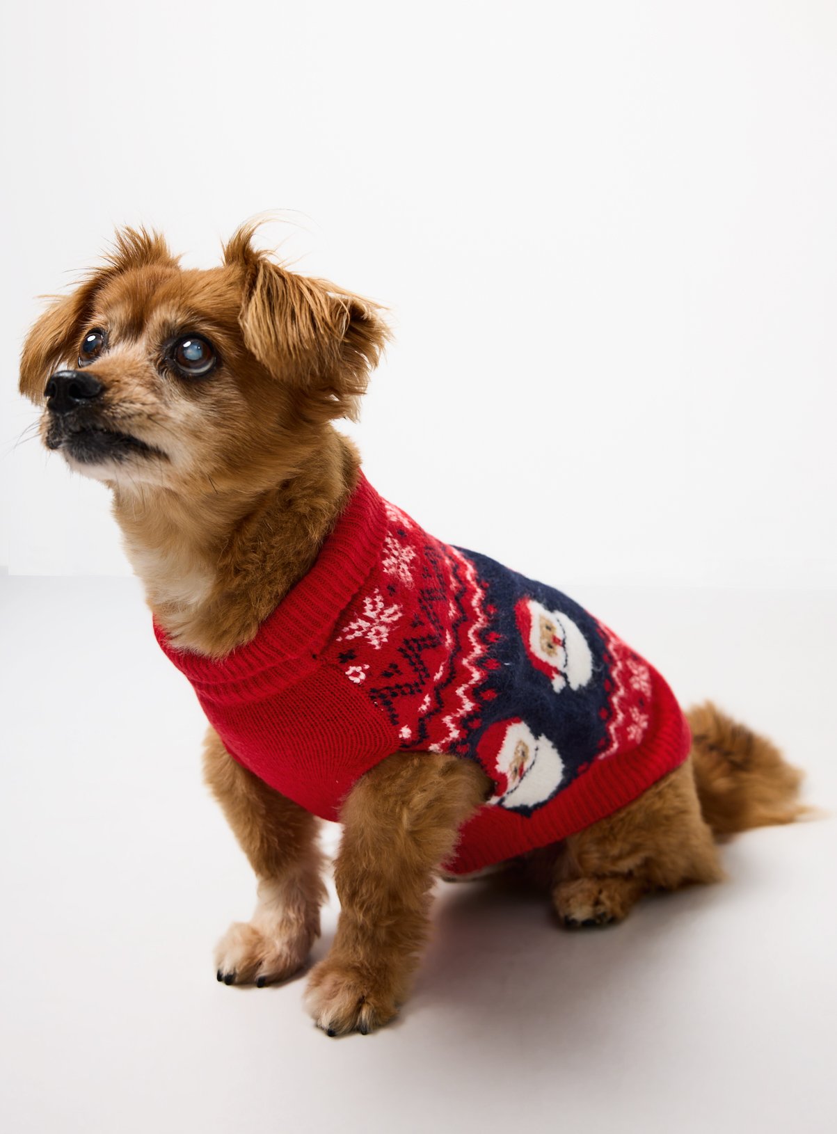 Christmas Fairisle Santa Printed Red Dog Jumper