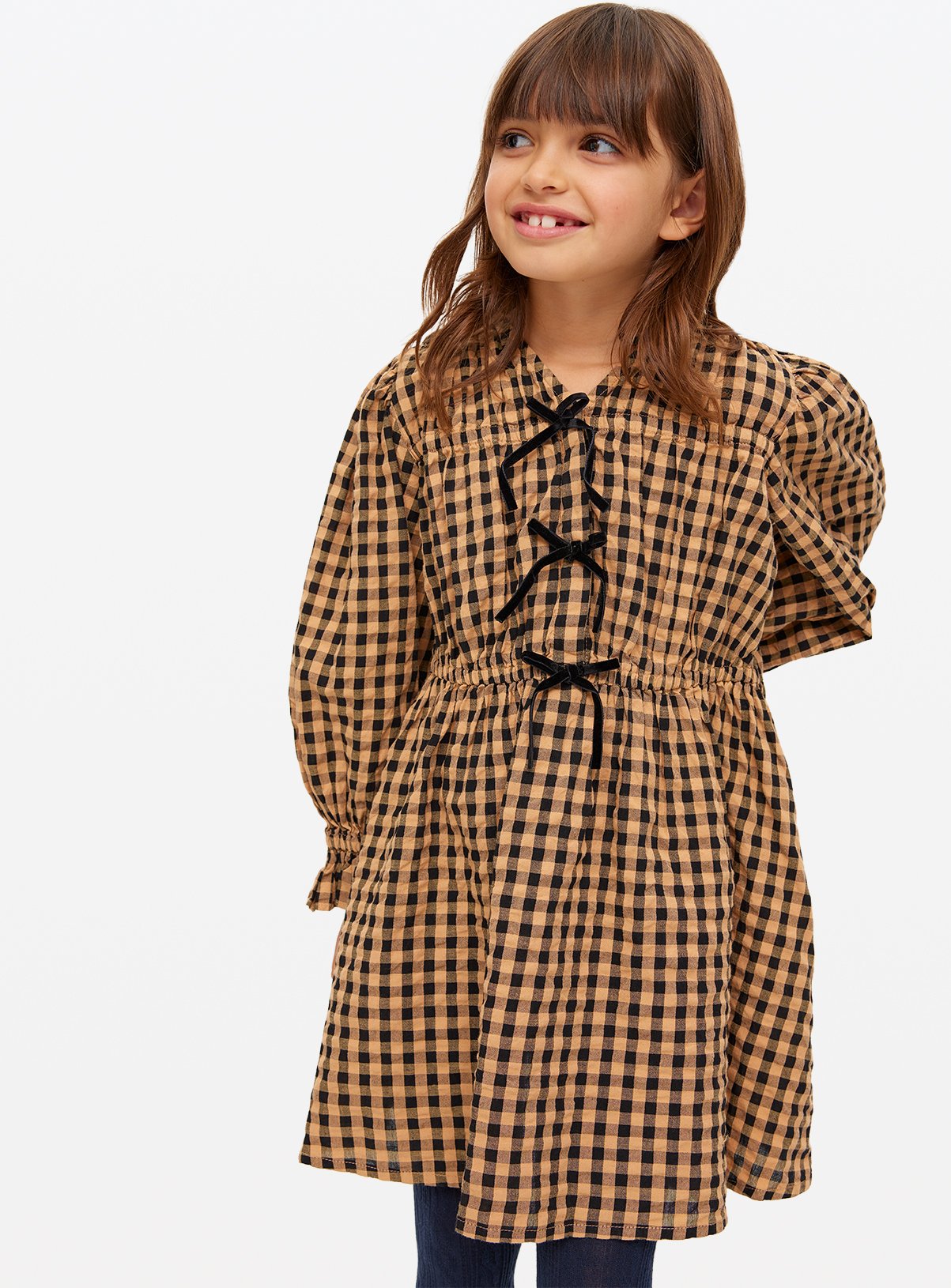 Gingham Print Bow Front Seersucker Dress