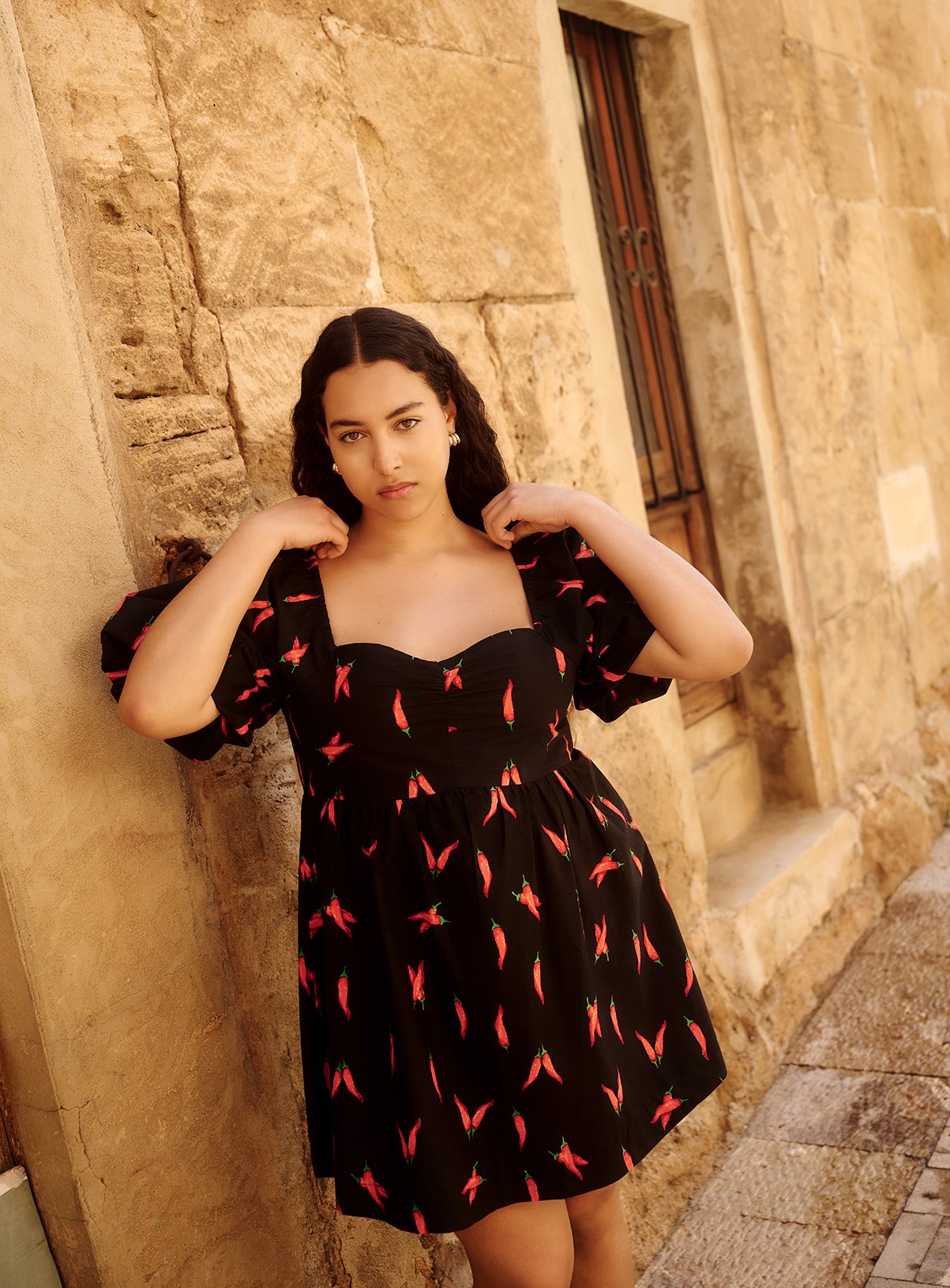 SIMPLY BE Cotton Chilli Poplin Skater Dress