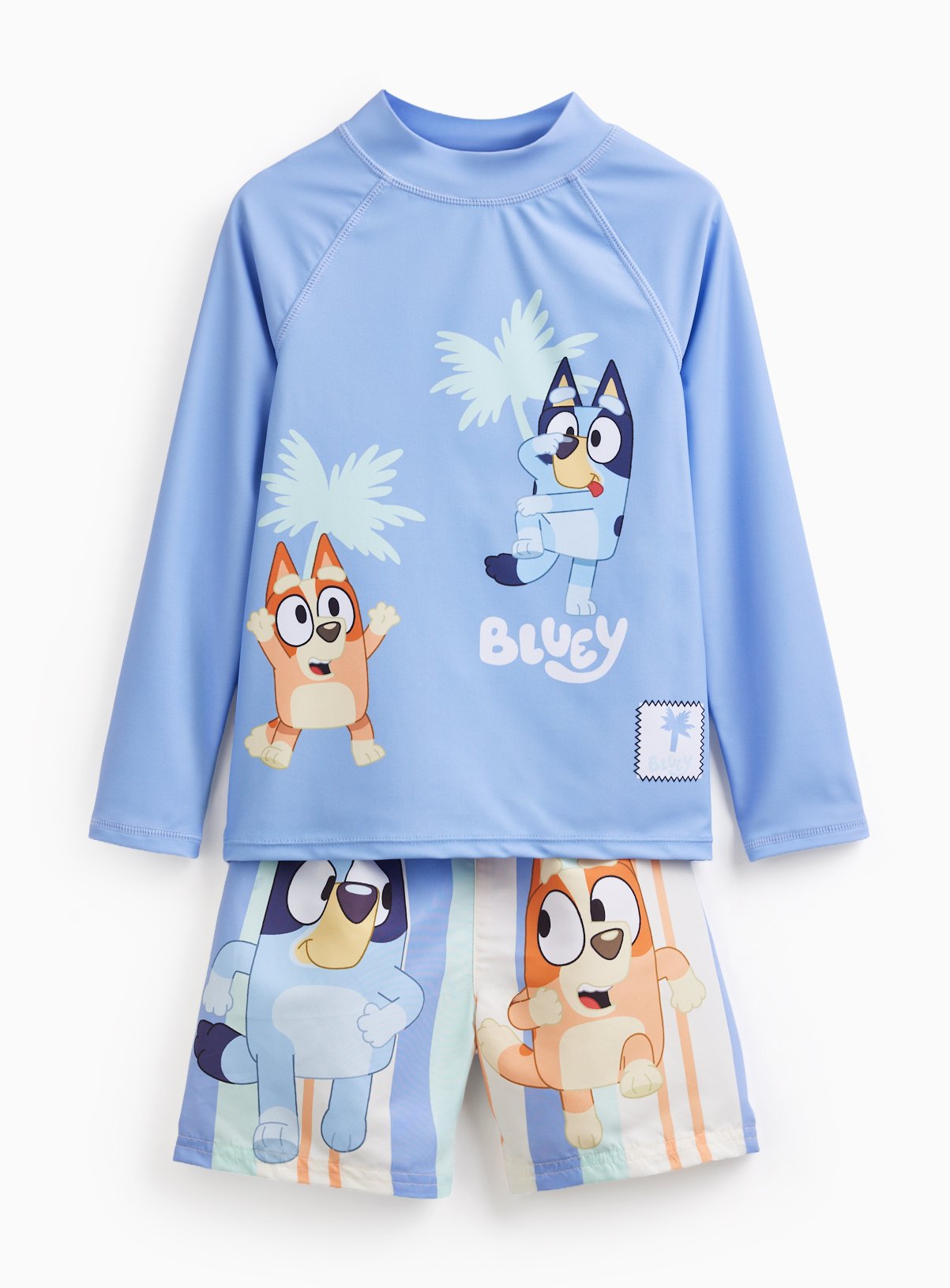 Bluey Rash Vest & Shorts Swim Set 2-3 years