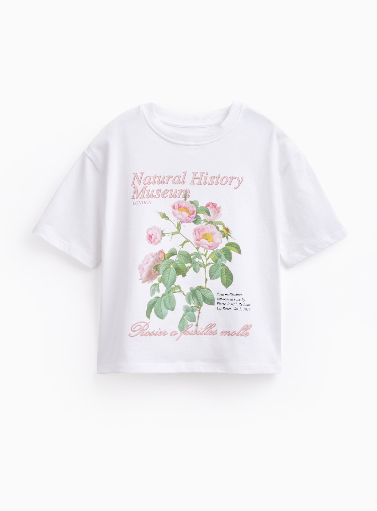 White National History Museum Graphic T-Shirt 
