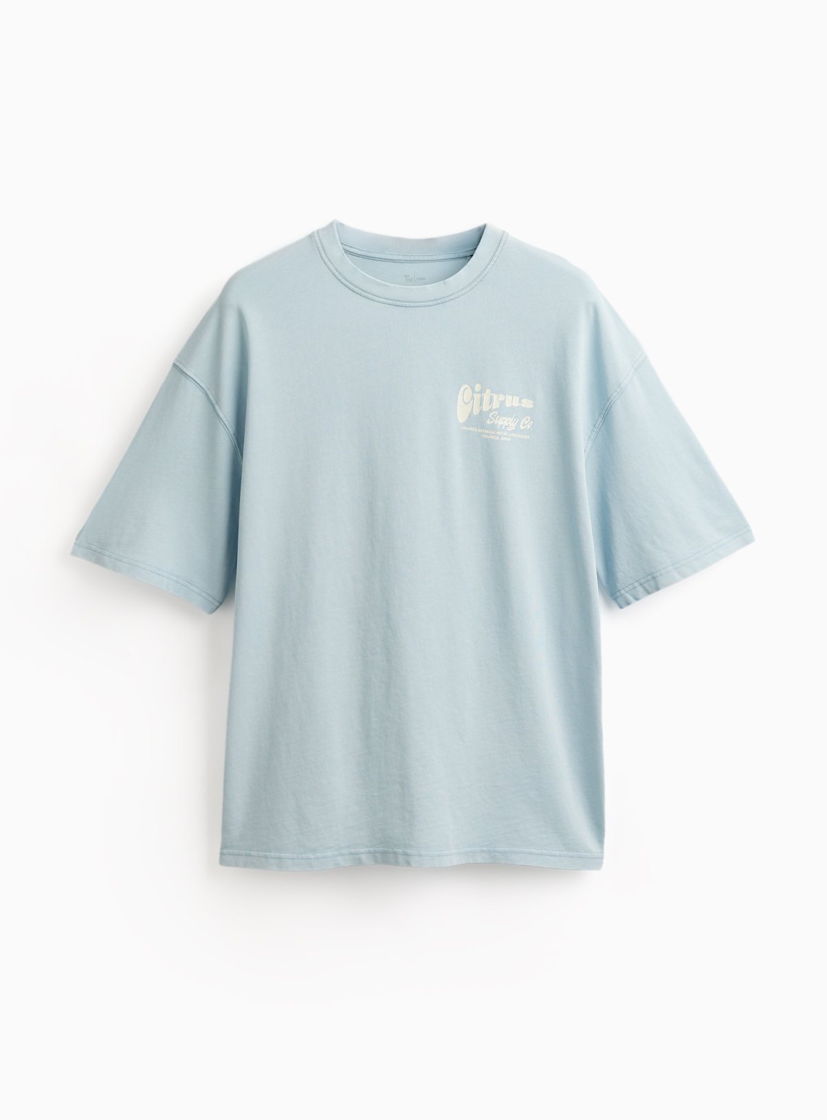 Blue Citrus Graphic Relaxed Fit T-Shirt