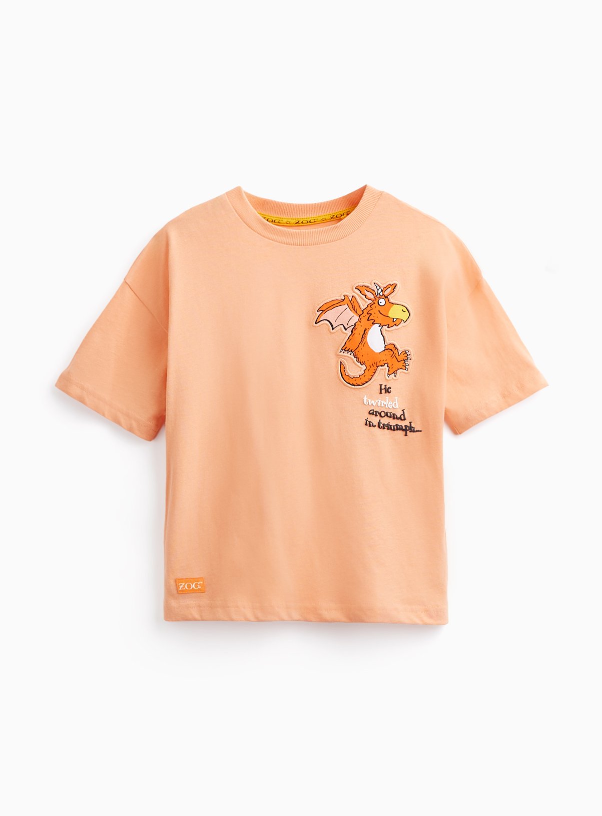 Orange Julia Donaldson Zog Graphic T-Shirt 