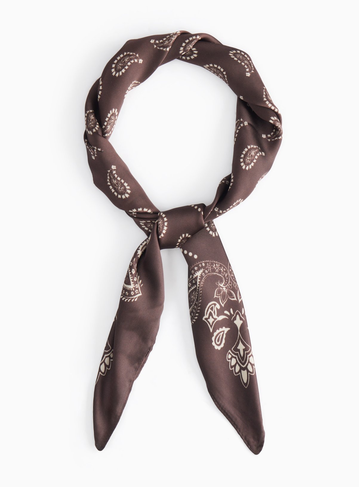 Chocolate Paisley Print Satin Scarf One Size