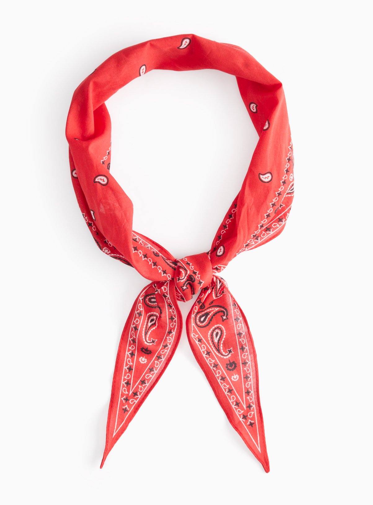 Red Paisley Print Skinny Scarf One Size