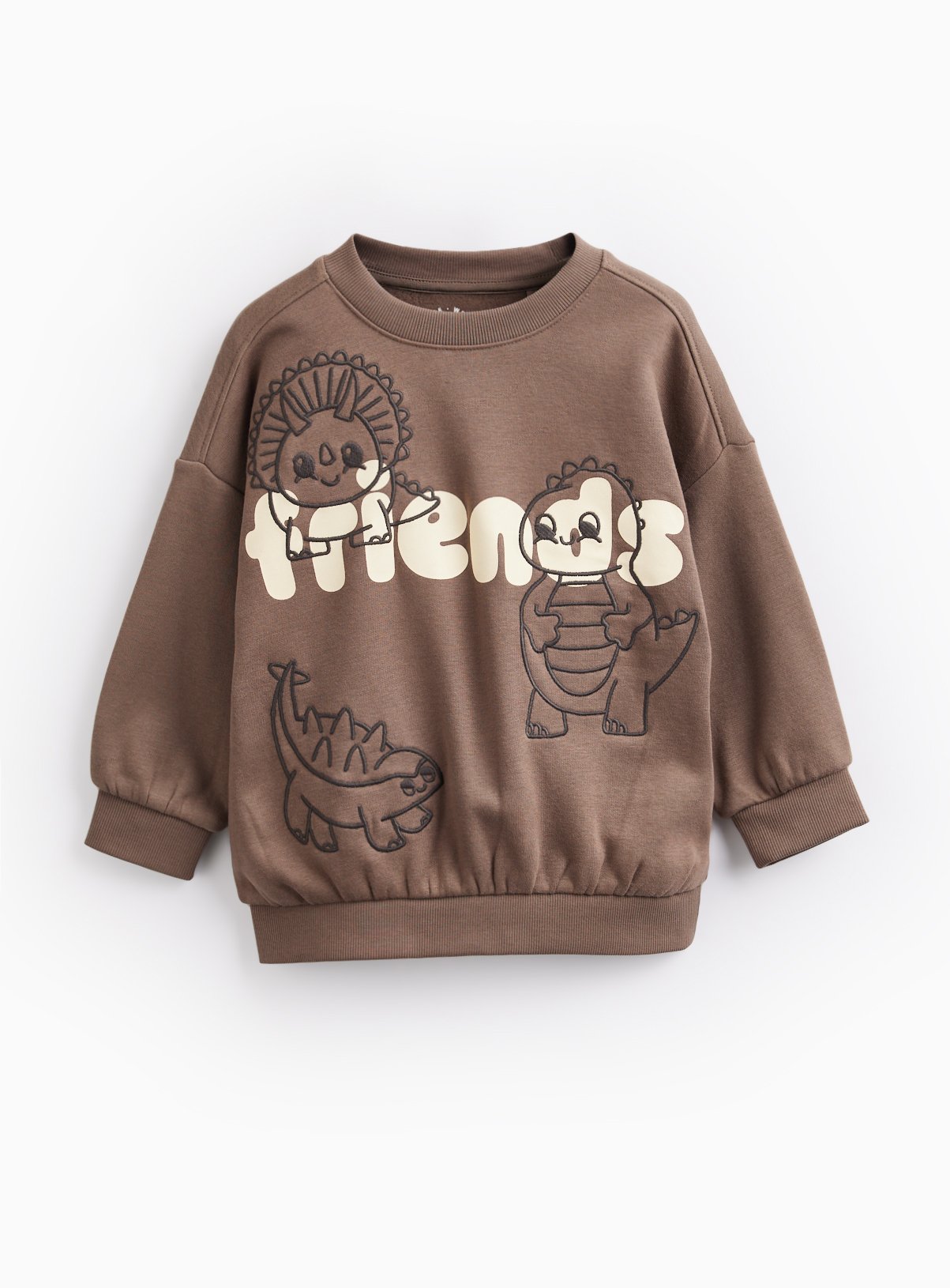 Brown Dino Friends Sweatshirt 