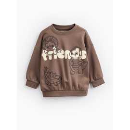 Brown Dino Friends Sweatshirt