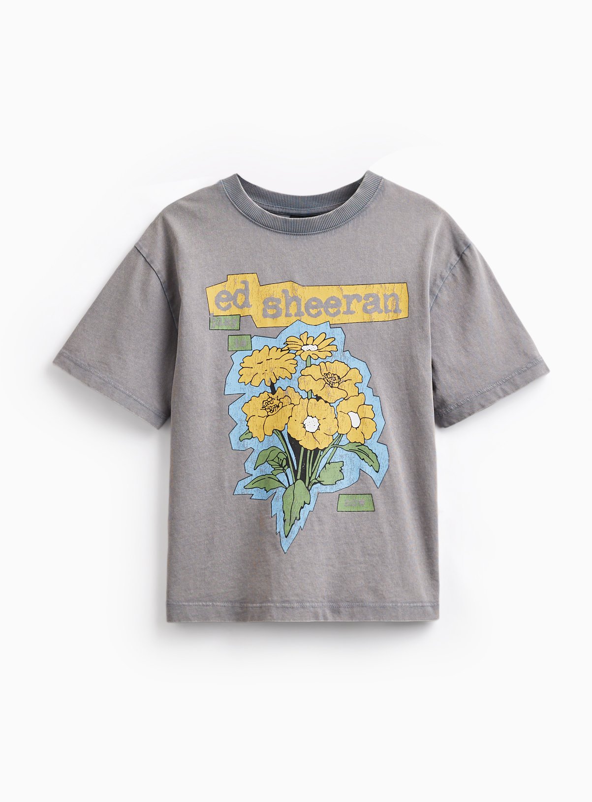 Ed Sheeran Grey Graphic Print T-Shirt 9 years