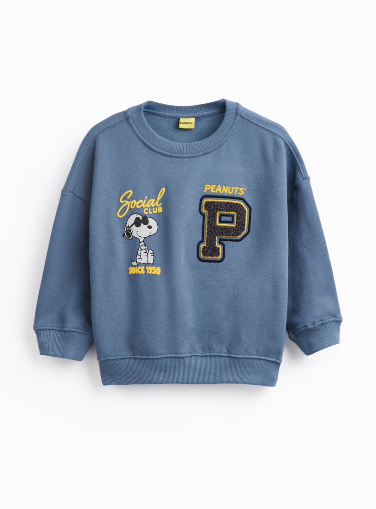 Blue Snoopy Graphic Sweatshirt