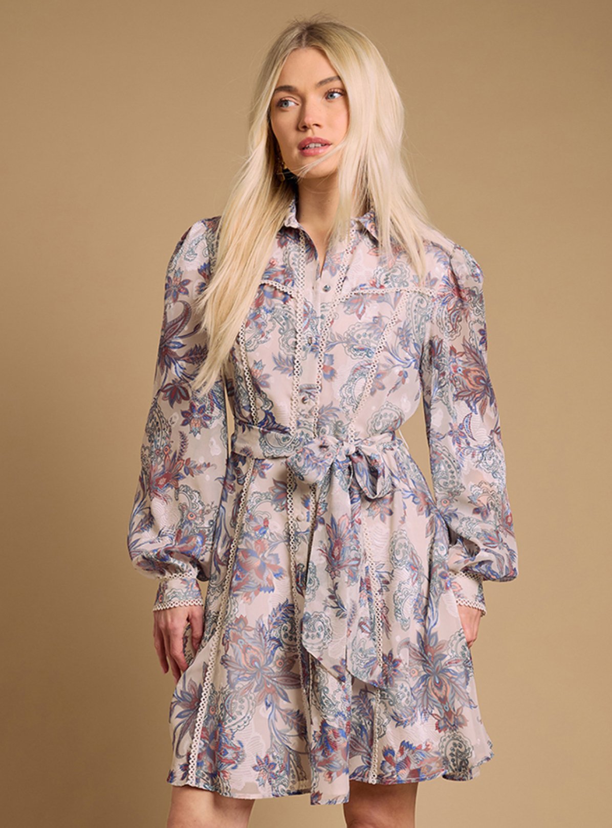 OASIS Burnout Floral Mini Dress 12