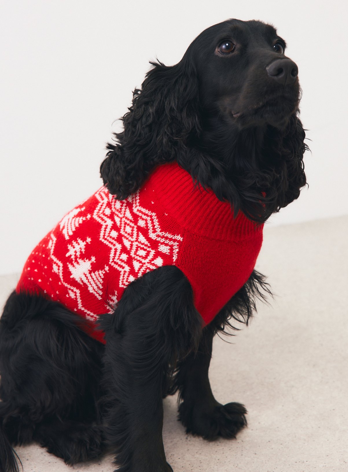 Family Matching Red Fairisle Christmas Dog Jumper 