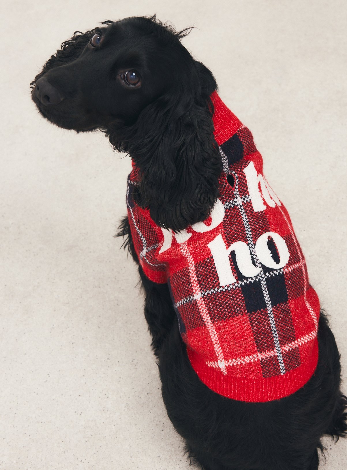 Family Matching Red Tartan Ho Ho Ho Christmas Dog Jumper 