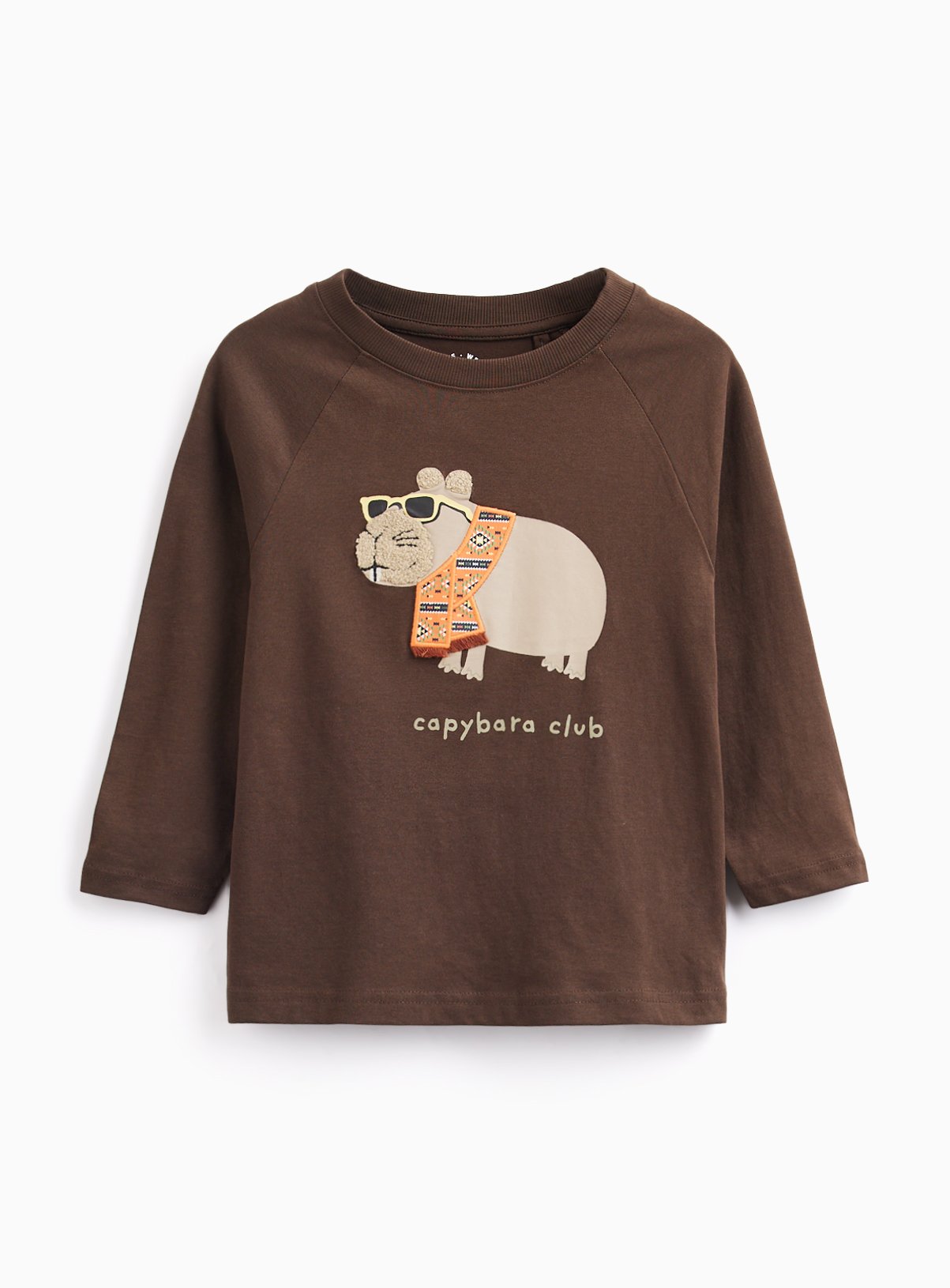 Brown Bouclé Capybara Long Sleeve T-Shirt 
