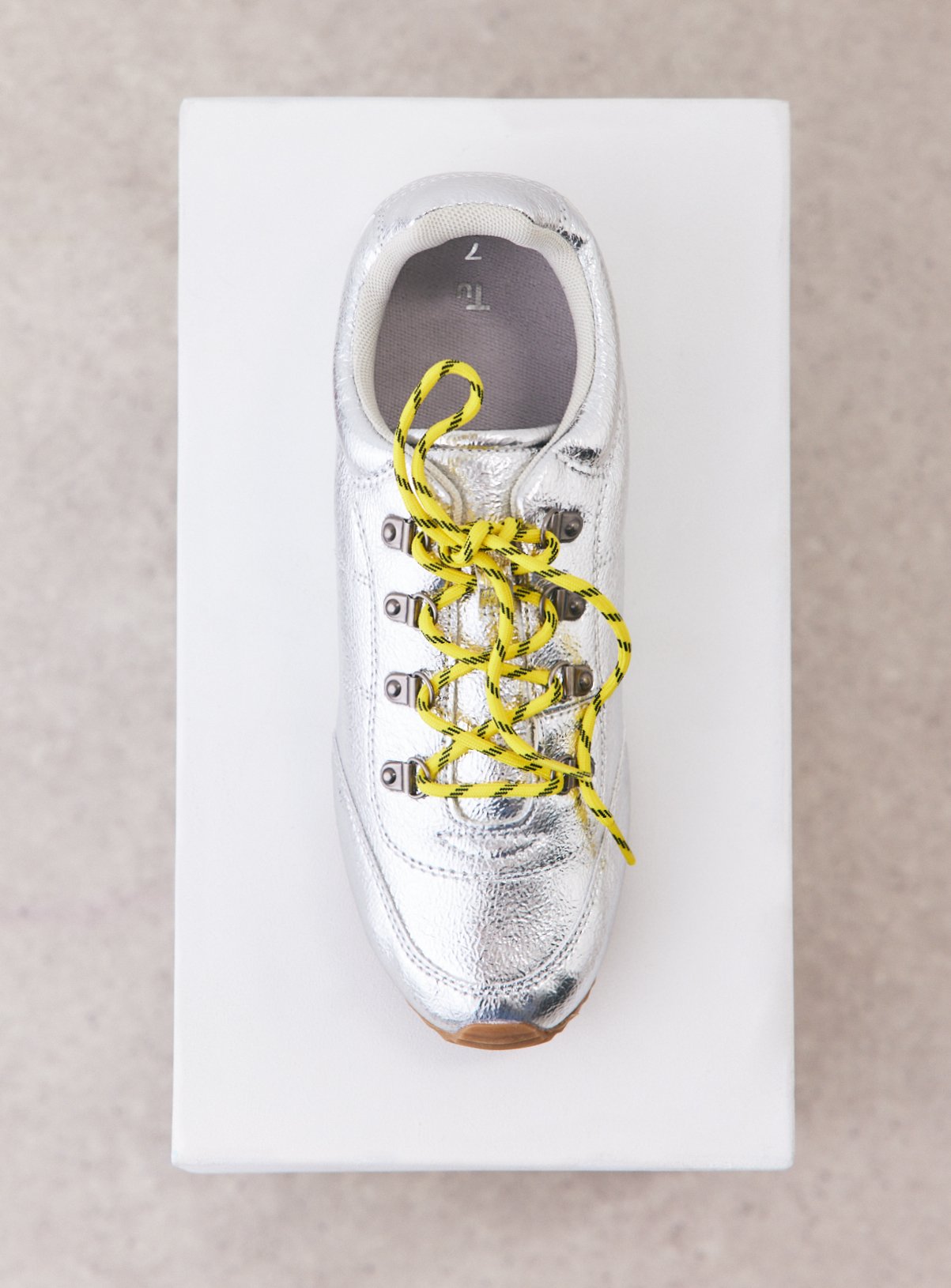 Silver Low Profile Trainers 