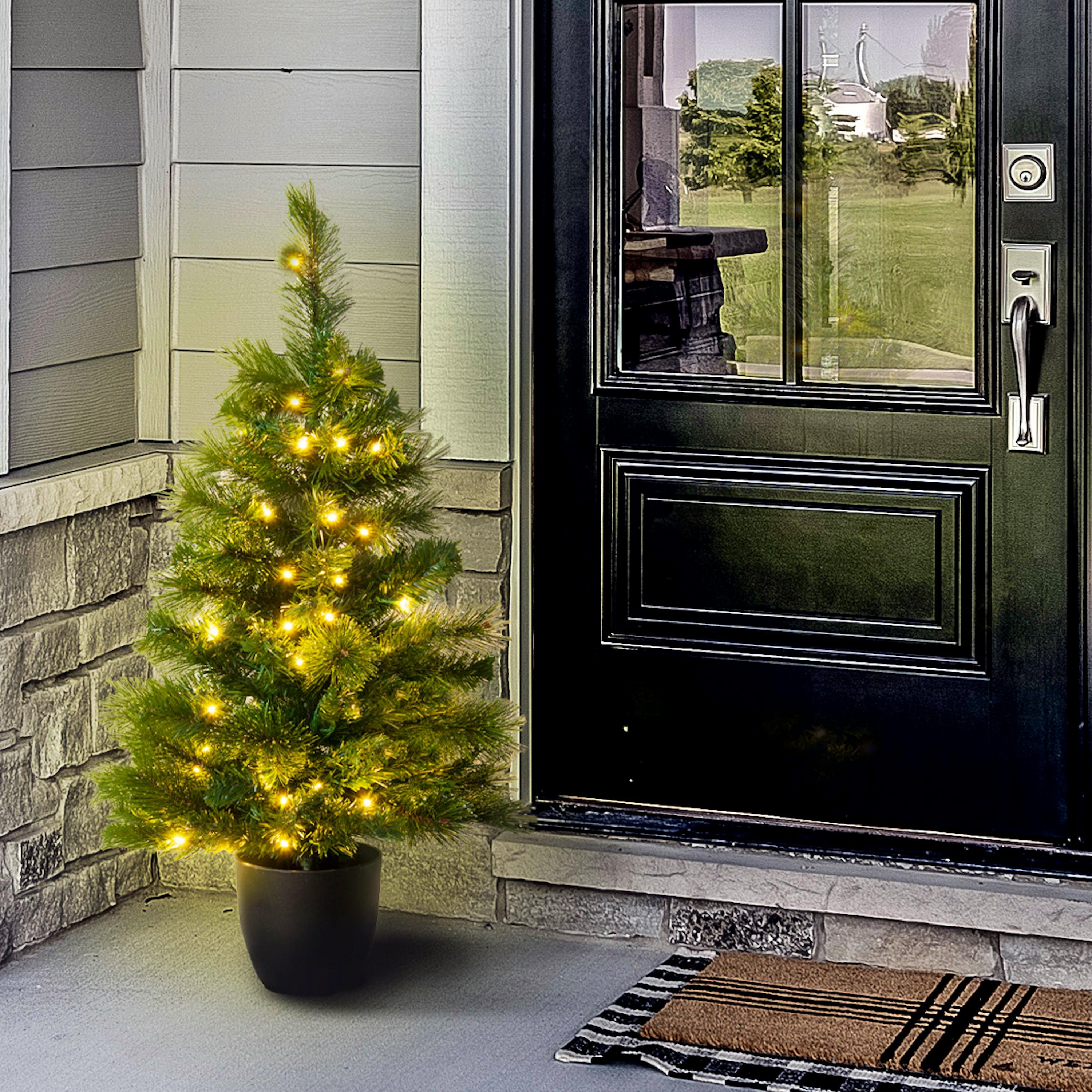 Christmas Tree World 3ft Pre-Lit Majestic Dew Pine Outdoor Potted Tree
