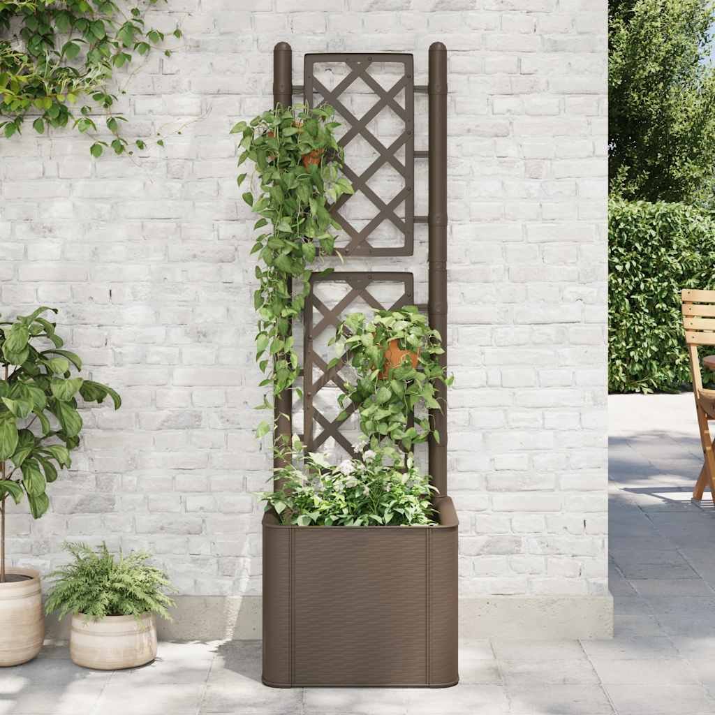 Walplus Polypropylene Raised Garden Bed - Mocha - 43 x 43 x 142 cm