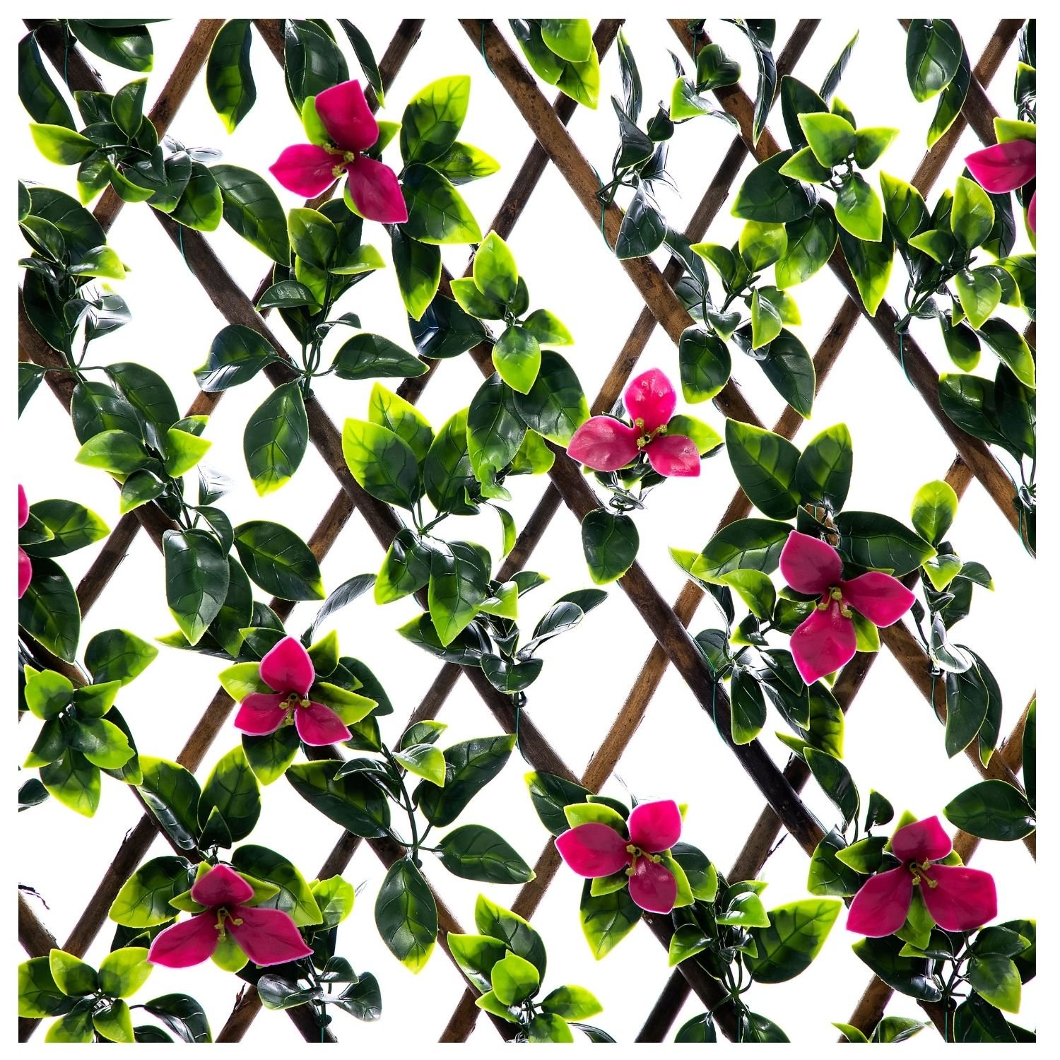 Ark Mat Expanding Wooden Trellis Privacy Screen - 200cm x 100cm - Maple
