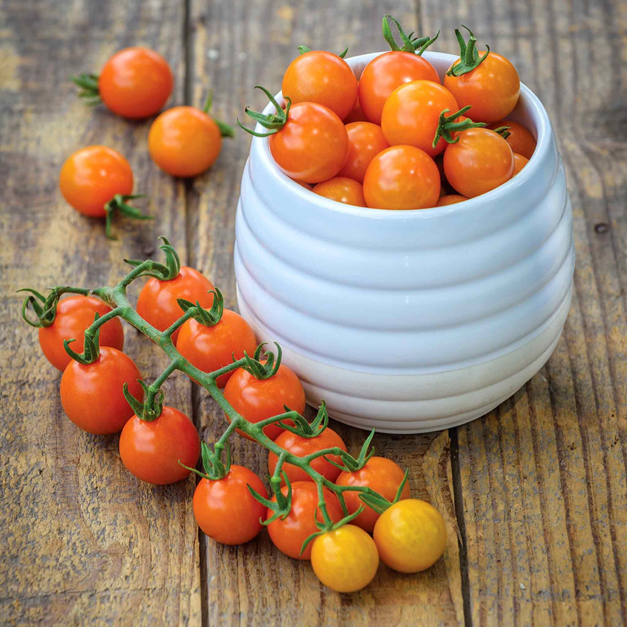 Marshalls Garden Sungold Cherry Tomato Seeds 'Honeycomb' - 15 Seeds
