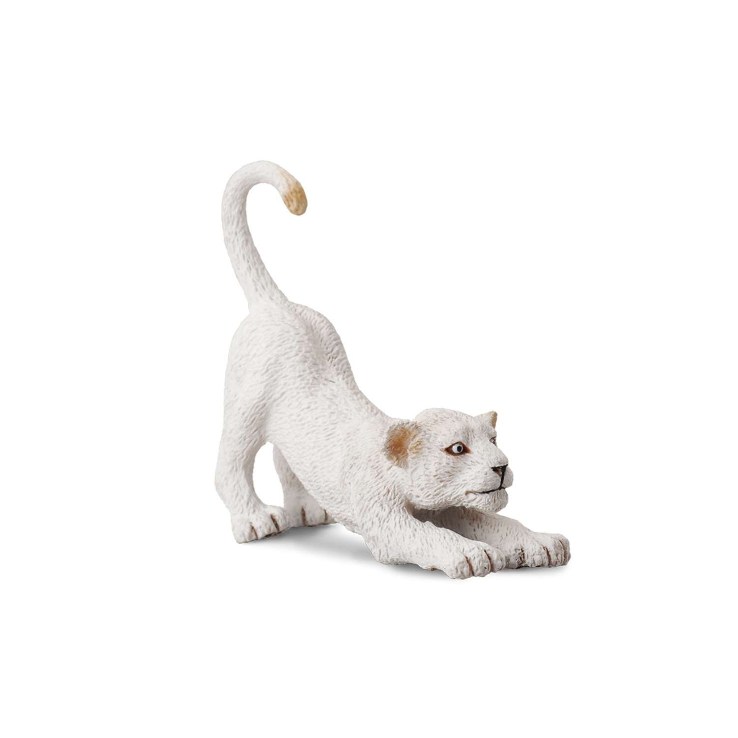 CollectA White Lion Cub Stretching - 3 Years +