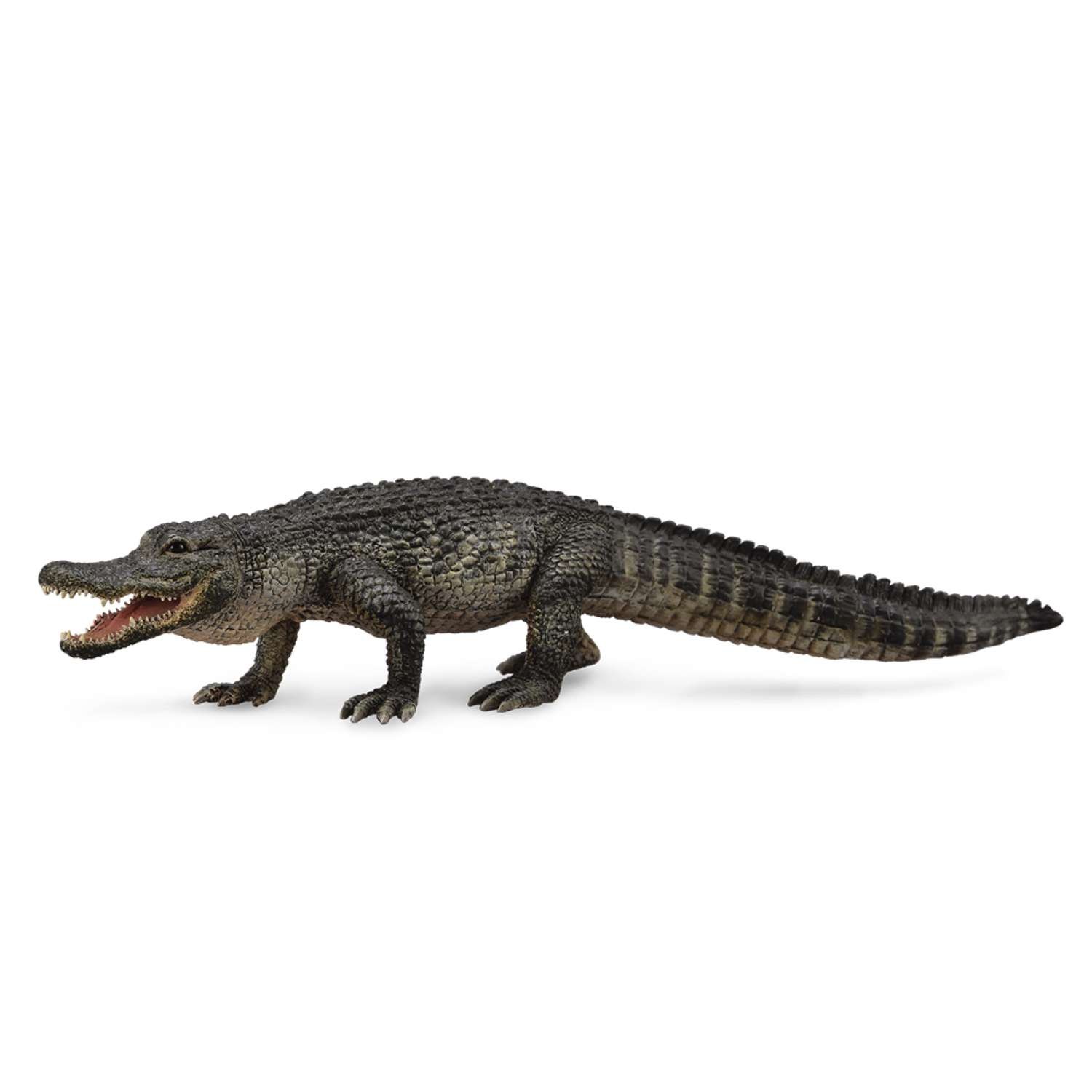 CollectA American Alligator - 3 Years +