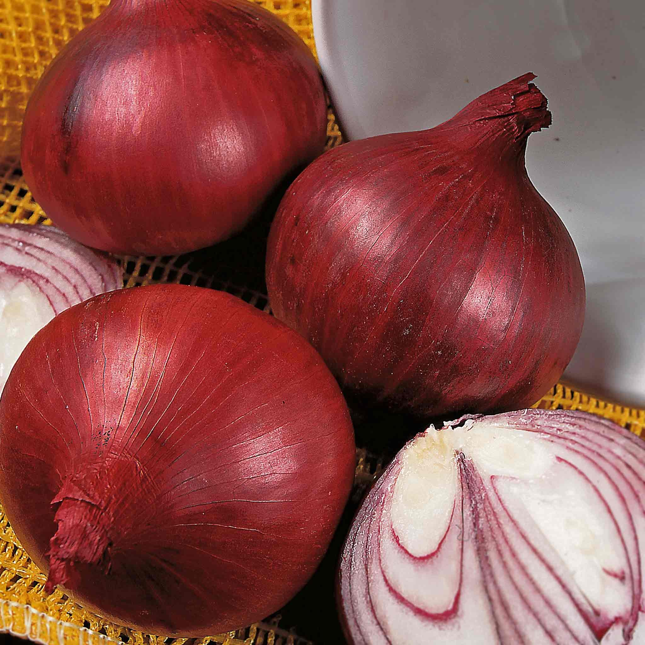 Marshalls Garden Onion Seeds Red Baron F1 Extra-Large Red Bulbs  - 350 Seeds