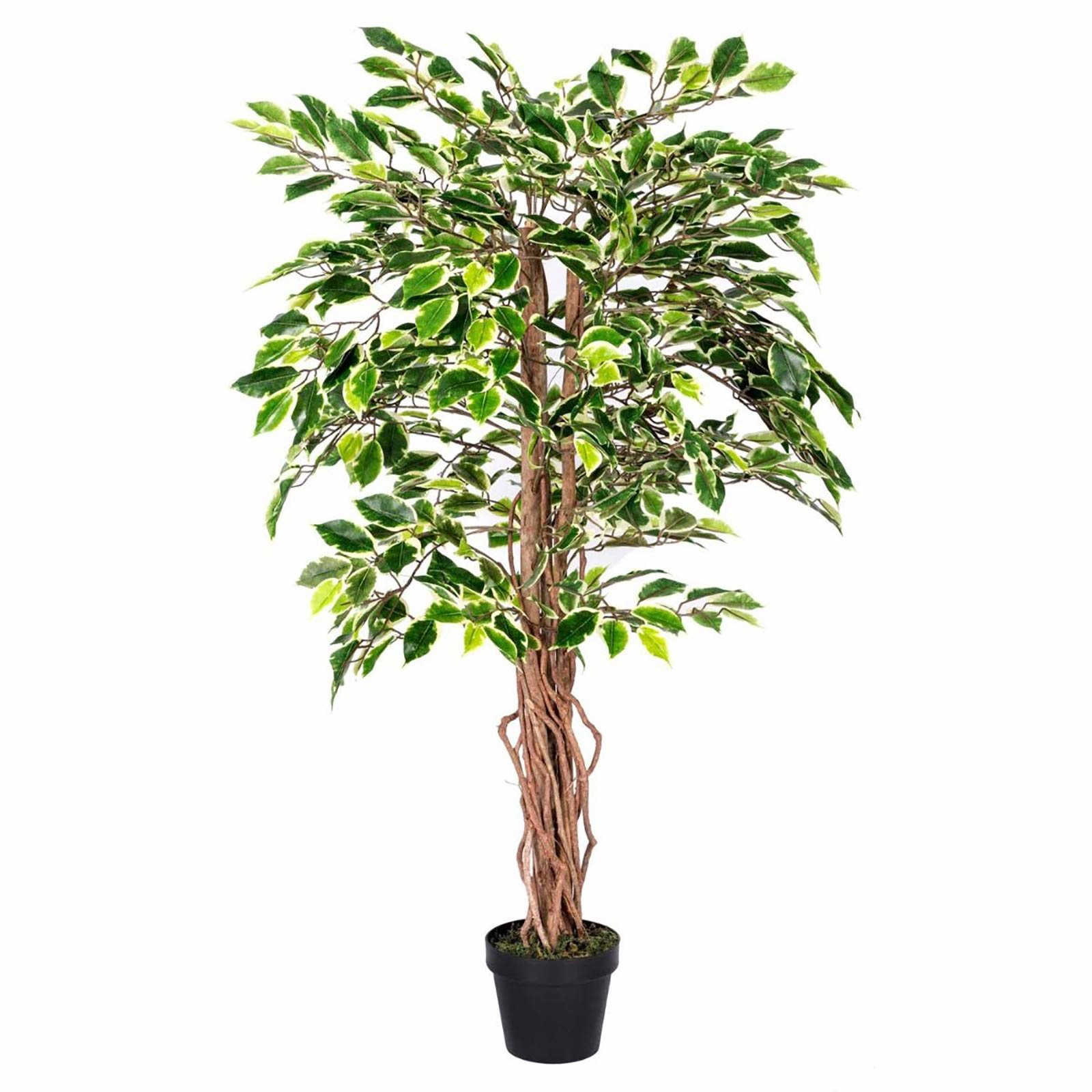 Homescapes Artificial Variegated Ficus Tree with Real Wood Trunk - Green