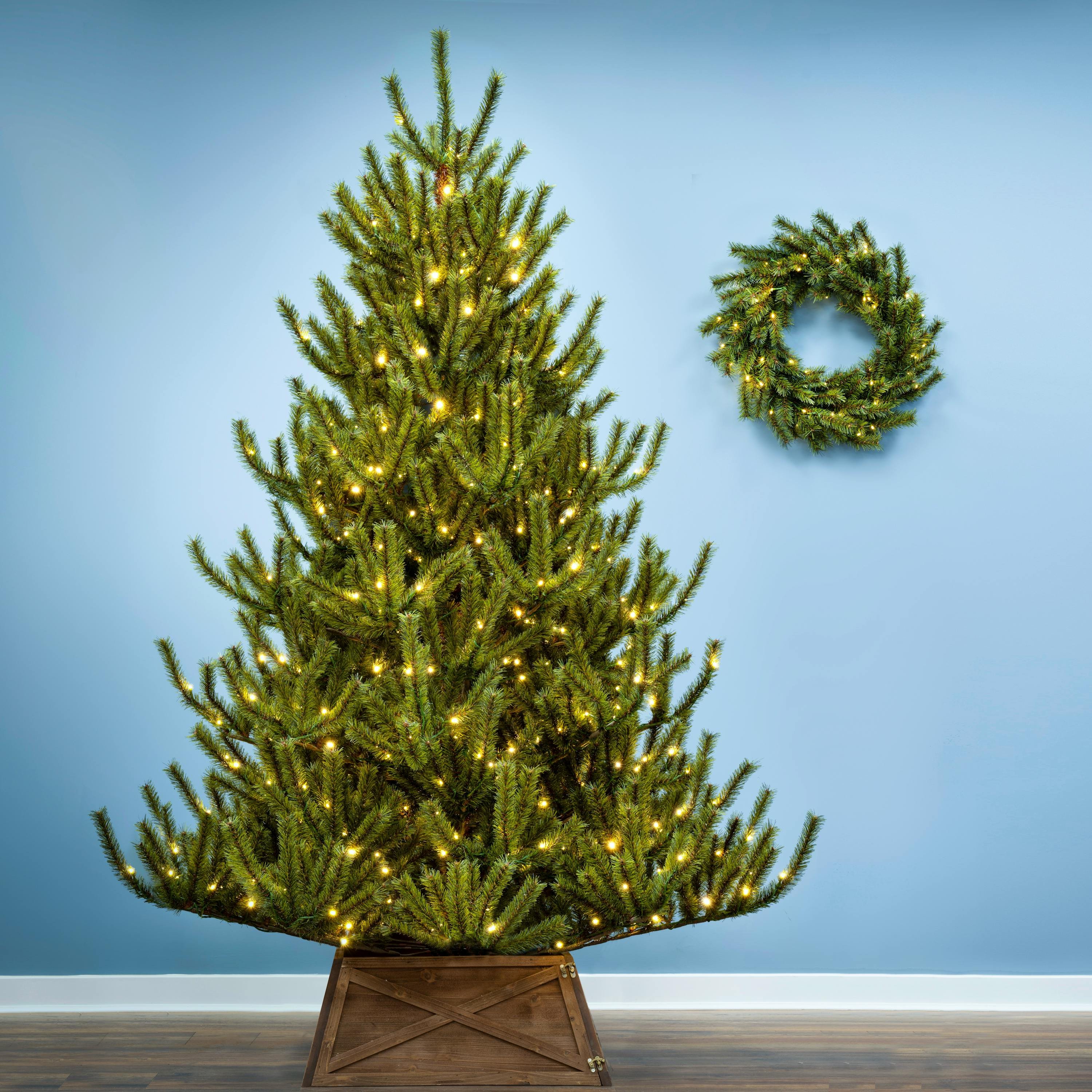 Christmas Tree World 7ft Pre-Lit Matterhorn Pine - Warm White LED Lights