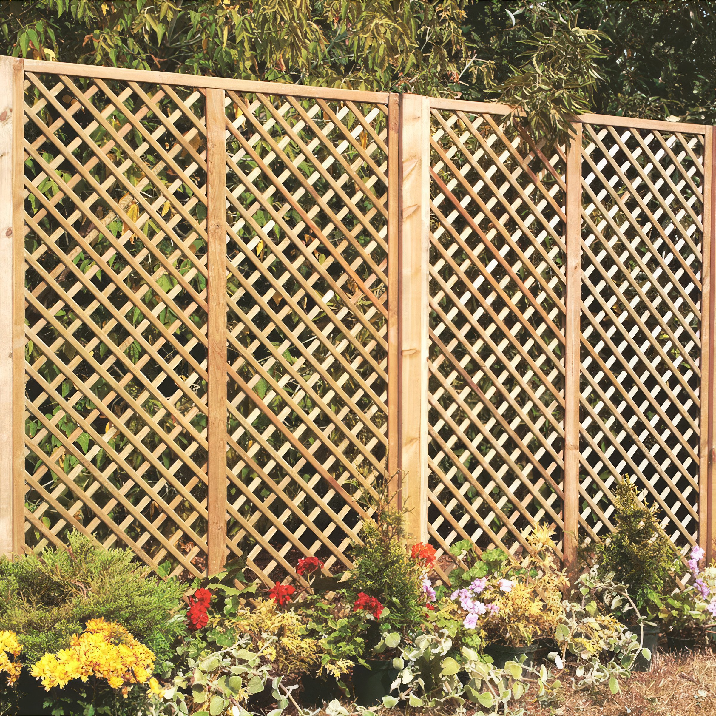Primrose Fan Outdoor Garden Privacy Screening Wall Trellis - 1.83m x 1.2m