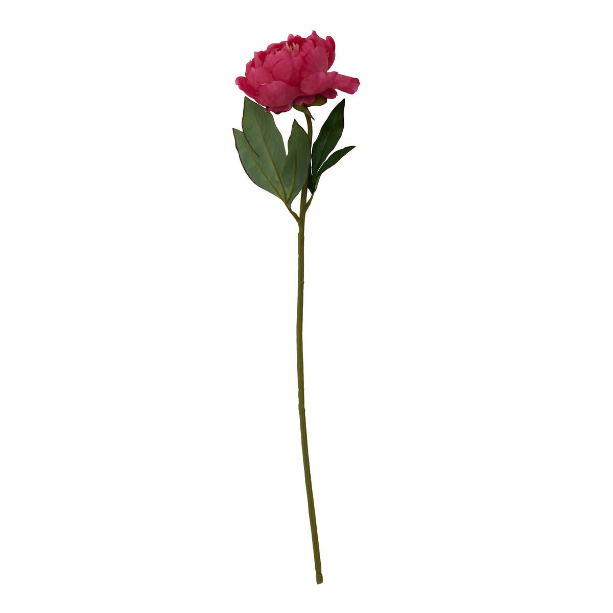 Orsina Fiori Peony Flower Stem - Fuchsia