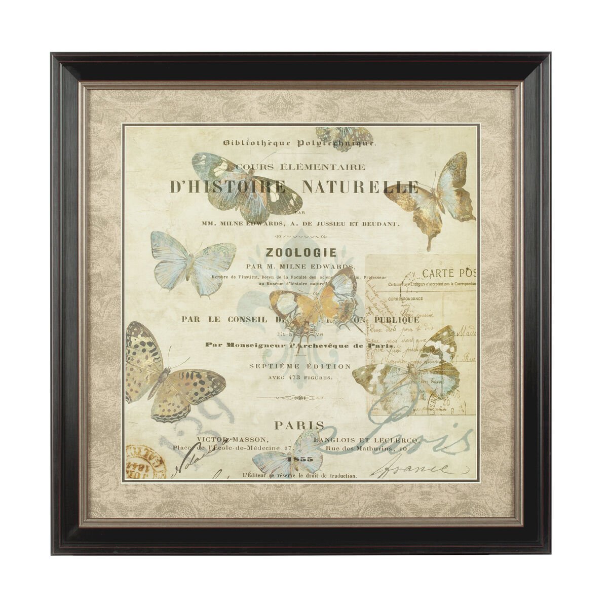 Orsina Framed Butterfly 2 Wall Art