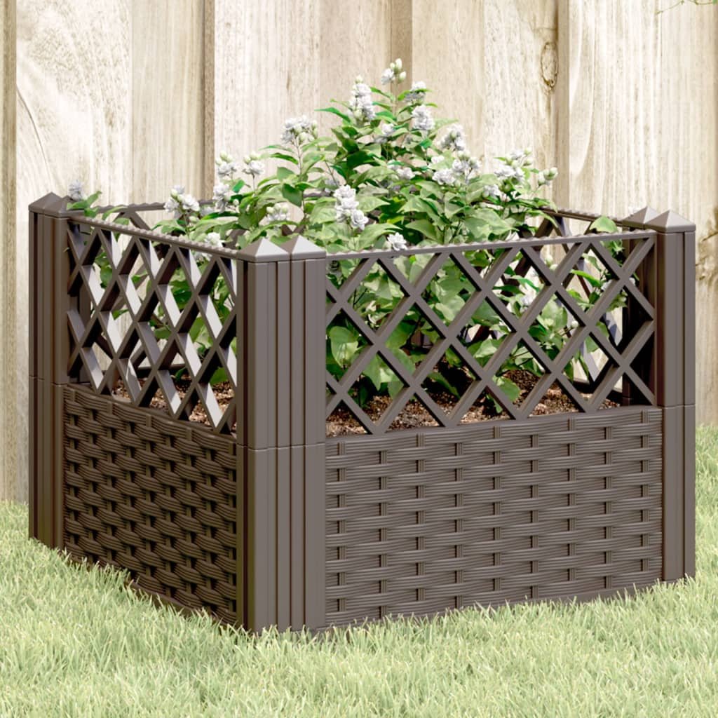 Walplus Polypropylene Garden Planter - Brown - 43.5 x 43.5 x 43.5 cm